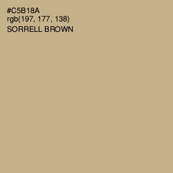 #C5B18A - Sorrell Brown Color Image